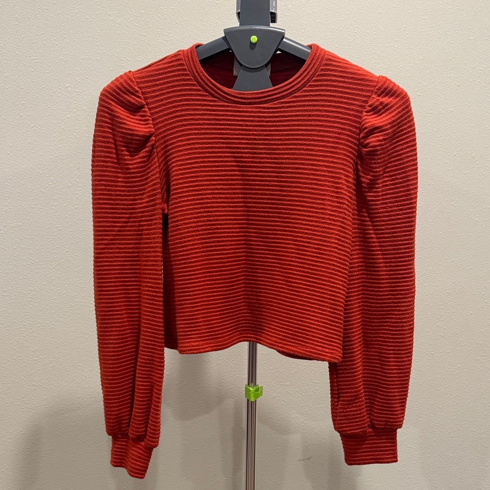 Sadie & Sage Burnt Orange Ribbed Crop Top